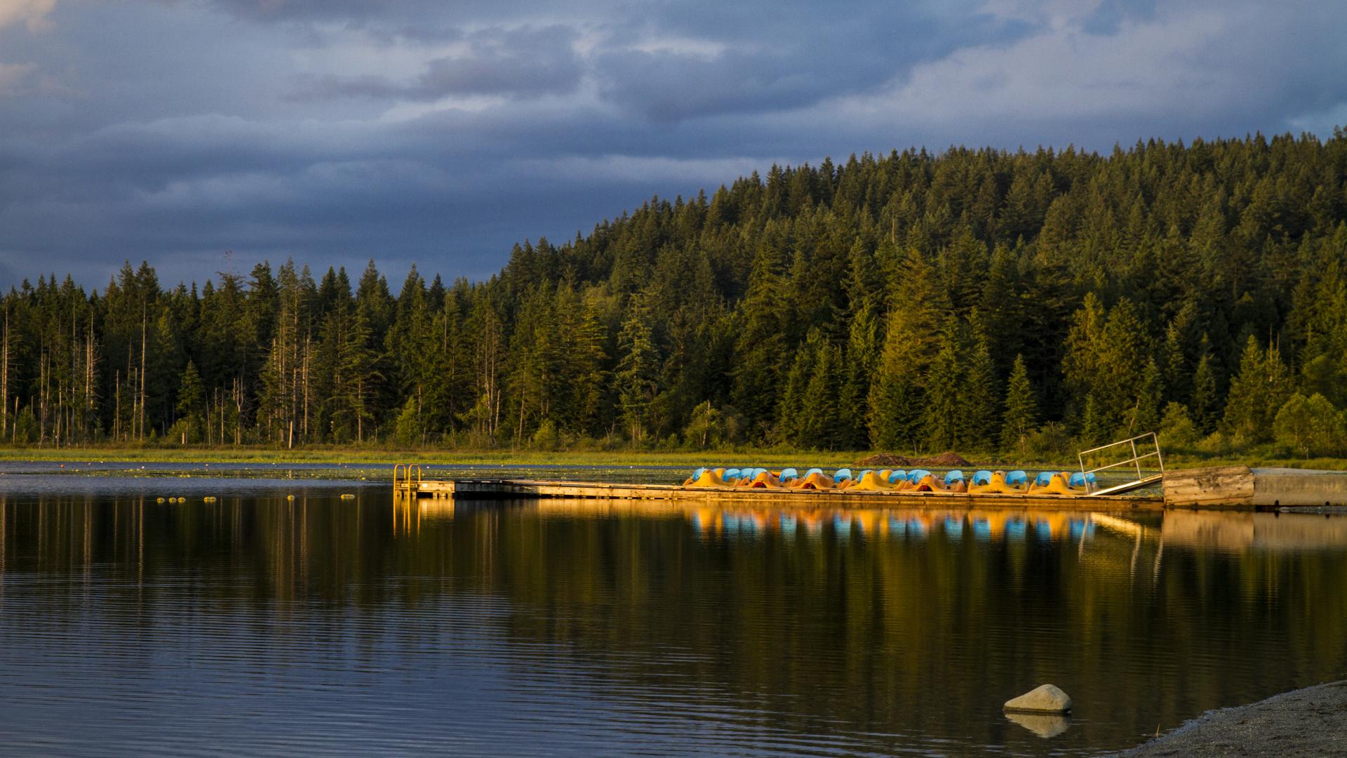 A large lake with a forested hill on the opposite shore. There is a dock with a number of small boats.